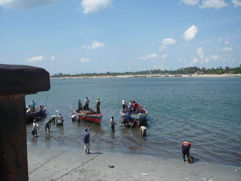 tansA013.jpg - am Fischmarkt von Dar es Salaam