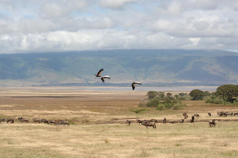 tansD009.jpg - beeindruckende Kraterlandschaft
